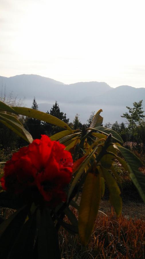 Neora Valley Retreat Otel Rishop Dış mekan fotoğraf