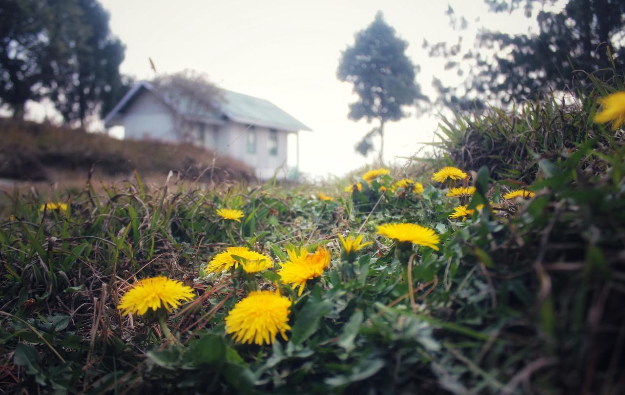 Neora Valley Retreat Otel Rishop Dış mekan fotoğraf